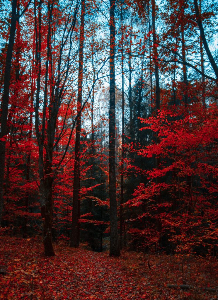 lumière bleu/rouge