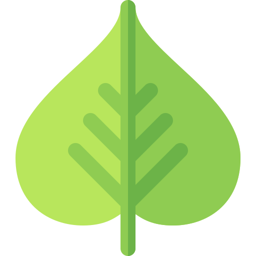 feuille verte
