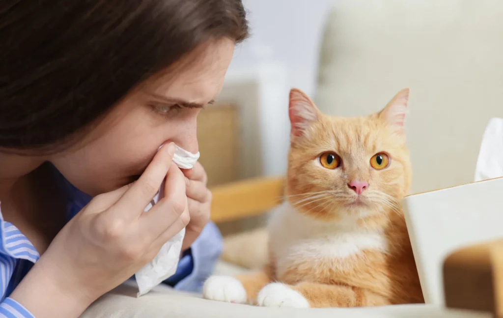 Une femme éternue en réaction à son allergie aux poils d’animaux.